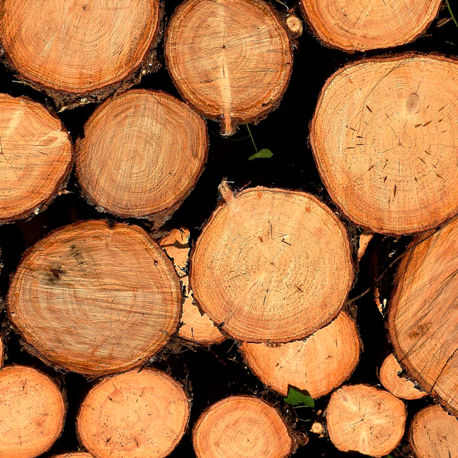 Купить дубовые дрова в Харькове