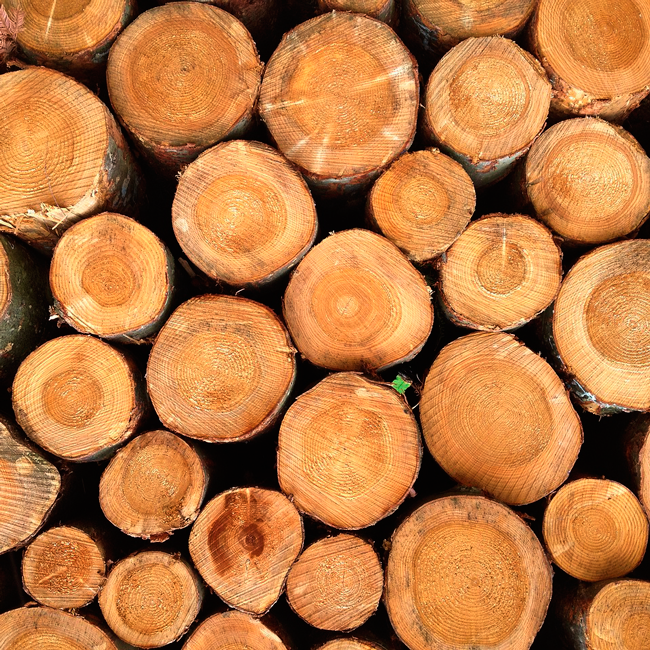Купить дрова клён в Харькове